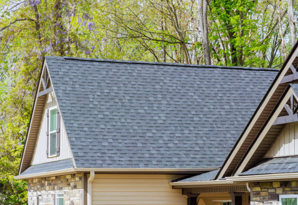 Best Rubber Roofing (EPDM, TPO)  in St Charles, IL
